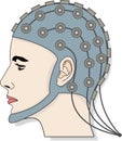 EEG 3