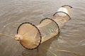 Eel Nets Royalty Free Stock Photo