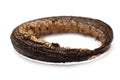 Eel smoked Royalty Free Stock Photo