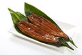 Eel ( unagi ) Royalty Free Stock Photo