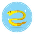 eel. Vector illustration decorative design Royalty Free Stock Photo