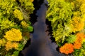 Downward View Of A Creek And Forest In Autumn