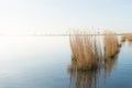 Eemmeer in Holland Royalty Free Stock Photo