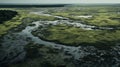 Eerie Aerial View Of North Carolina Marsh In Duotone