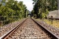 An eerie atmosphere surrounds the abandoned train tracks, now overgrown with weeds and fading into the landscape