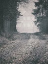 Eerie dirt road leading to a house