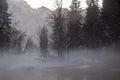 Eerie evening mist in Yosemite valley