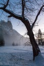 Eerie evening mist in Yosemite valley