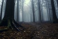 Eerie Forest Escape A mysterious forest shrouded