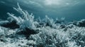 The Eerie Haunting Beauty Of Bleached Coral Formations Standing Like Sentinels In A Lifeless Underwater World