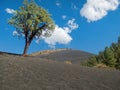 Eerie landscape, Sunset Crater Volcano National Monument, northern Arizona Royalty Free Stock Photo