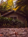 Abandoned boat shed againts the background of Sherbrooke forest