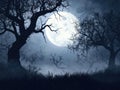 Eerie Moonlight Forest Royalty Free Stock Photo