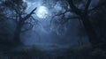 Eerie Moonlight Illuminates a Foggy Forest Path with a Spiderweb Royalty Free Stock Photo