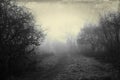 An eerie path on a foggy winters day, surrounded by trees. With a dark, spooky blurred abstract, grunge effect edit