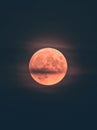 Eerie scenery of the red full moon on a night sky