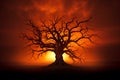 Eerie silhouette of a haunted tree