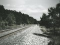 Eerie train tracks going through the trees in Pensacola Florida.