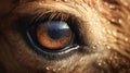 Eerily Realistic Horse Eye With Water Droplets - Hyper-realistic Animal Illustration