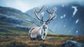 Eerily Realistic Reindeer In Conceptual Digital Art: Characterful Animal Portraits