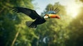 Eerily Realistic Toucan In Flight Sun Forest Stock Photo