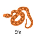Efa snake color flat icon Royalty Free Stock Photo