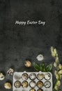 Happy Easter vertical greeting card.Small eggs in a cardboard box on a dark stone background with green leaves and willow branches Royalty Free Stock Photo