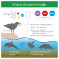 Effect of marine waste.