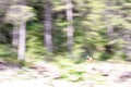 Effect to create speed. cyclist among the mountain paths in the Italian Dolomites Royalty Free Stock Photo