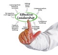 Effective Leadership Royalty Free Stock Photo
