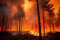Effective strategies and techniques for successfully extinguishing forest fires safely