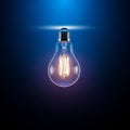 Effectively highlighting the bulb s structure and illuminating its Royalty Free Stock Photo