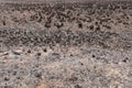 Effects of grass fire on soils. Charred grass after a spring fire. Black surface of the rural field with a burned grass. Royalty Free Stock Photo