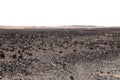 Effects of grass fire on soils. Charred grass after a spring fire. Black surface of the rural field with a burned grass. Royalty Free Stock Photo