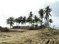 Effects of hurricane Soufriere St. Lucia