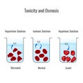 Effects of hypertonic, hypotonic and istonic solutions to red blood cells