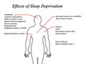 Effects of Sleep Deprivation