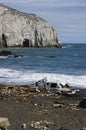 Effects of Tsunami on the coast of Chile