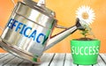 Efficacy helps achieving success - pictured as word Efficacy on a watering can to symbolize that Efficacy makes success grow and