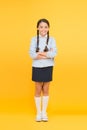 Efficiency of studying. Adorable schoolgirl. Diligent schoolgirl. Schoolgirl happy smiling pupil long hair. Beginning of