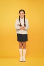 Efficiency of studying. Adorable schoolgirl. Diligent schoolgirl. Schoolgirl happy smiling pupil long hair. Beginning of