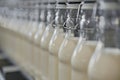 Efficient bottled milk production line maximizing output in a standard factory setting