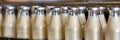 Efficient milk bottling line in a typical factory setting for streamlined production