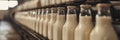 Efficient milk bottling process in a standard factory production line for optimal production output