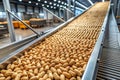 Efficient Peanut Processing A Detailed Look at the Industrial Conveyor Belt System in a Modern Food Production Facility Royalty Free Stock Photo
