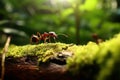 Efficient Strong ant on tree. Generate Ai