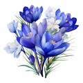 Efficient Watercolor Crocus Arrangement With Royal Blue Hues