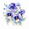 Efficient Watercolor Pansy Arrangement Clipart With Periwinkle Blue Hues Royalty Free Stock Photo