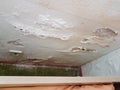 Efflorescence on the plaster due to rising damp in the wall