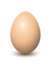 Egg Royalty Free Stock Photo